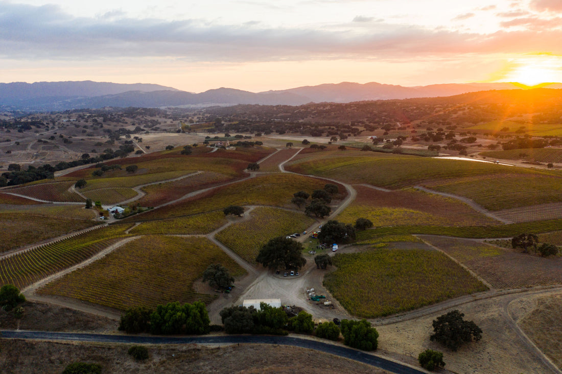 Stolpman Vineyards