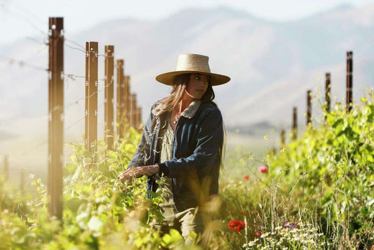 Lady of the Sunshine Wines